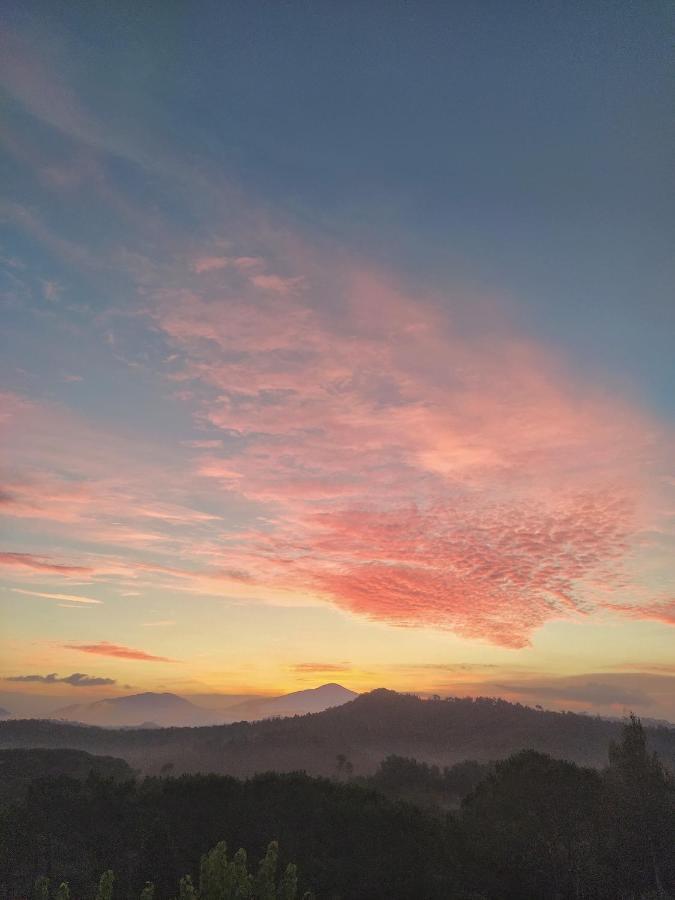 Hauzify I Ca La Nena Morena Villalba Saserra ภายนอก รูปภาพ